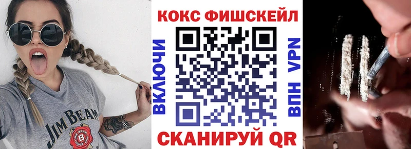 Cocaine FishScale  где можно купить наркотик  Москва 