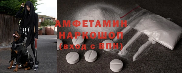 гидра Горнозаводск