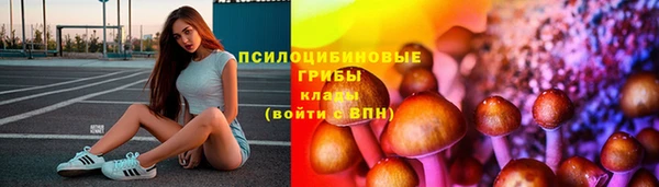 молекула духа Горно-Алтайск