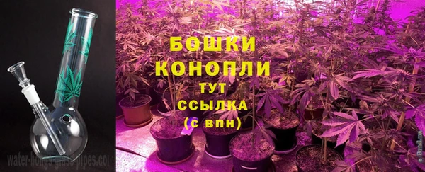 молекула духа Горно-Алтайск