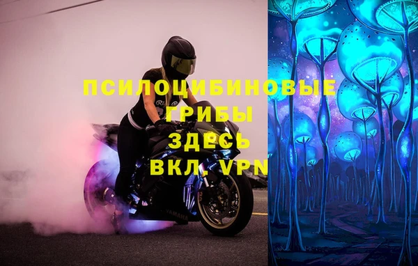мескалин Горняк