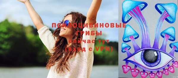 гидра Горнозаводск