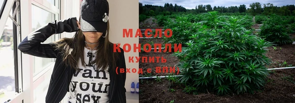 гидра Горнозаводск
