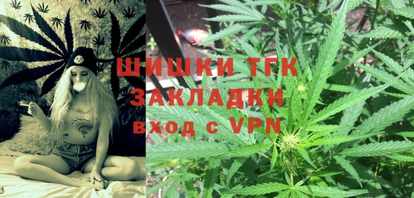гидра Горнозаводск