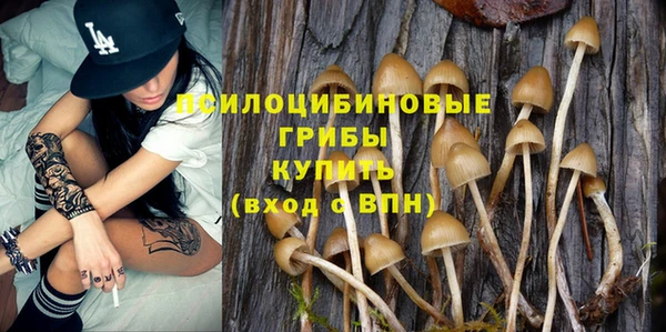 гидра Горнозаводск
