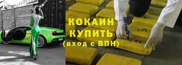 гидра Горнозаводск