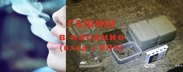 гидра Горнозаводск