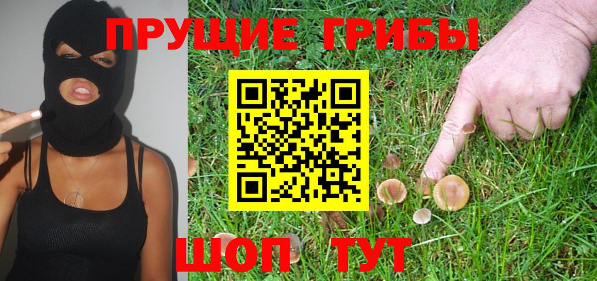где купить   Псилоцибиновые грибы GOLDEN TEACHER  Вход с VPN  Галлюциногенные грибы ЛСД  Москва 